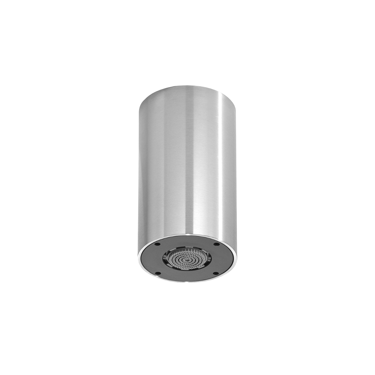 Ceiling-mounted Spray Shower Head