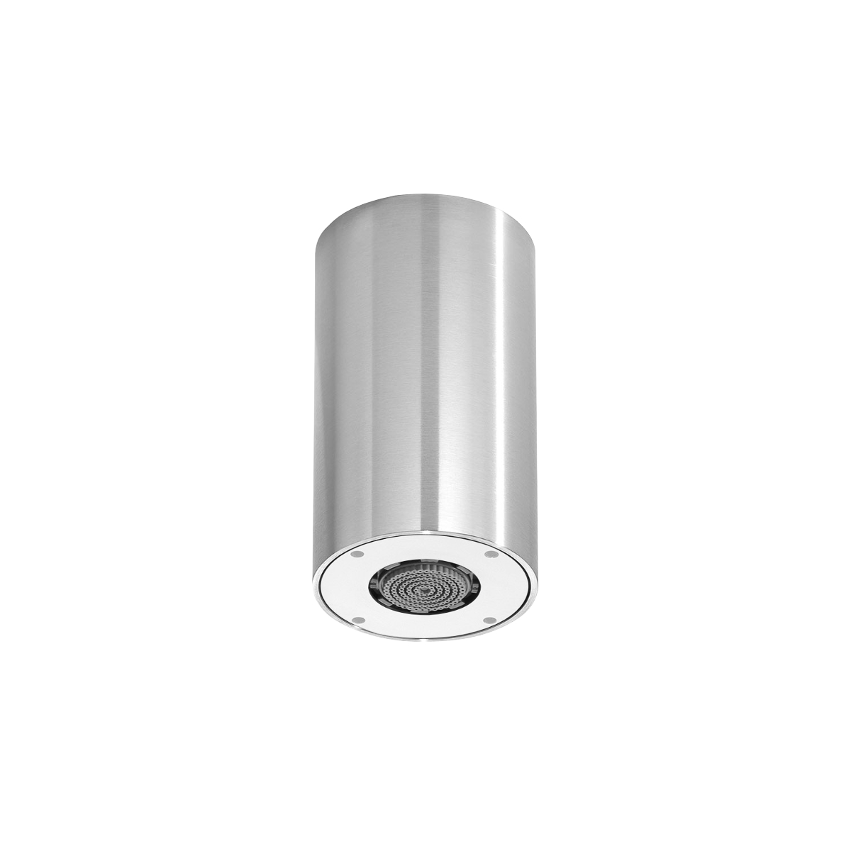 Ceiling-mounted Spray Shower Head