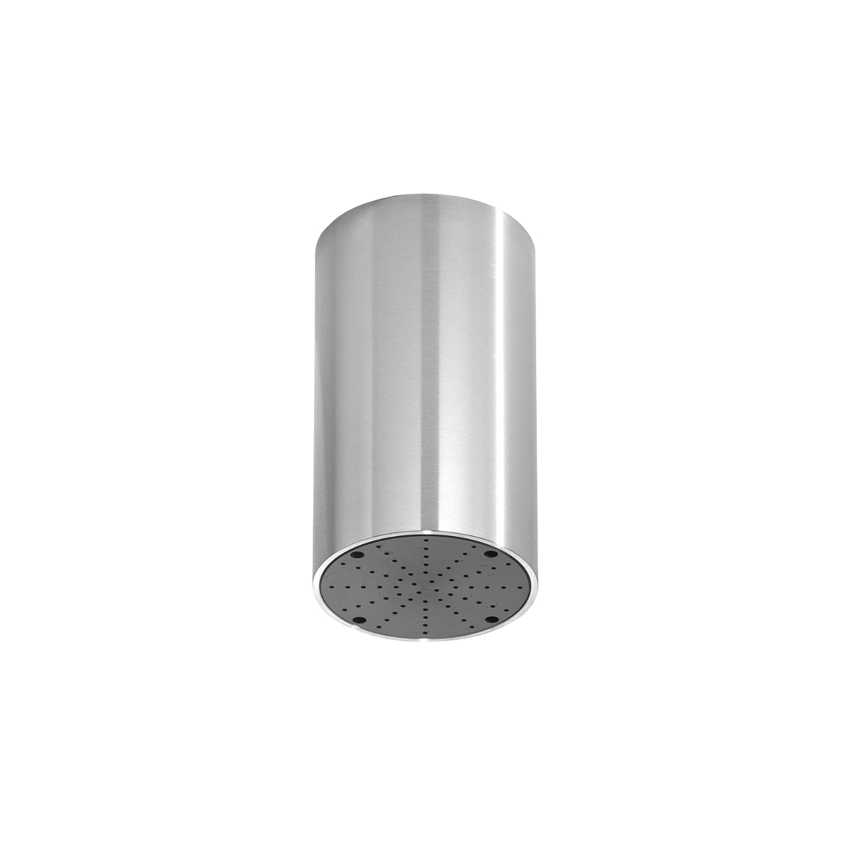 Ceiling-mounted rain shower